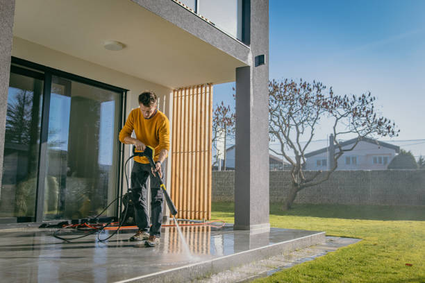 Best Roof Cleaning and Mildew Removal in Decherd, TN